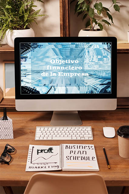 Objetivo financiero de la empresa